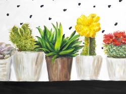 Petit cactus et succulents
