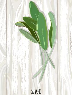 Sage on wood
