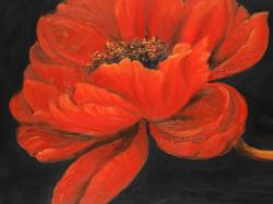 Red petal flower