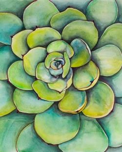 Succulent à l'aquarelle