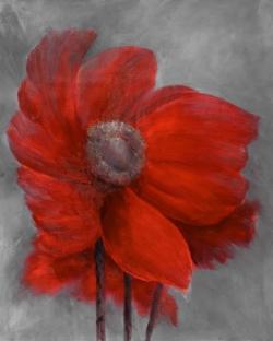 Fleur rouge dans le vent