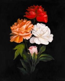 Trois magnifiques roses