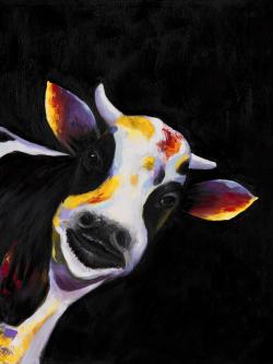 Une drôle de vache
