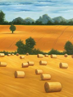 Hay bale fields
