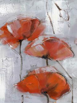 Abstract poppies