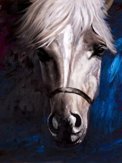 Cheval blanc sur fond bleu