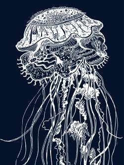  illustration détaillée d'une méduse