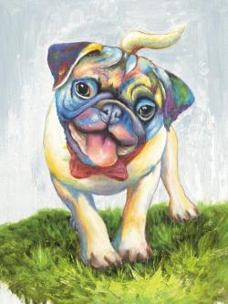 Colorful smiling pug
