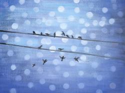 Oiseaux sur ciel bleu scintillant