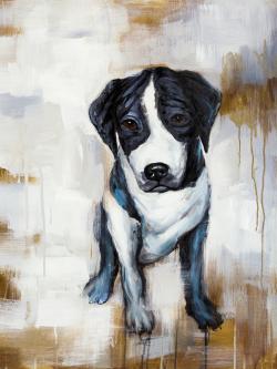 Sitting dog