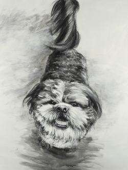 Happy dog sketch