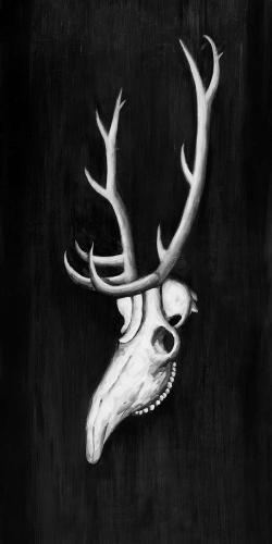 Deer skull in the dark