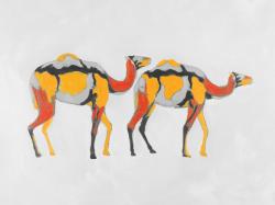 Abstract dromedaries