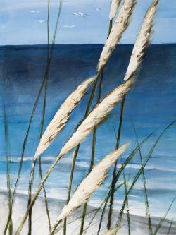 Plante oyat dans le vent sur la plage