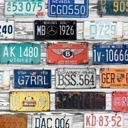 Vintage plates registration