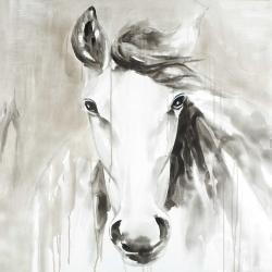 Magnifique cheval abstrait