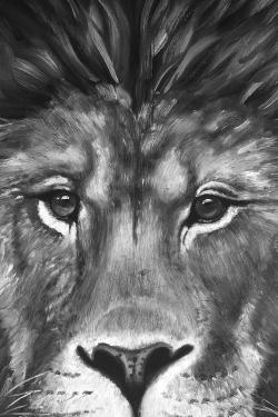Lion portrait