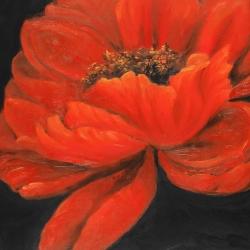 Red petal flower