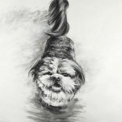 Happy dog sketch
