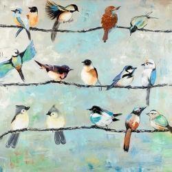 Petits oiseaux colorés