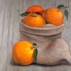 Bag of oranges