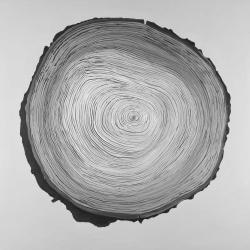 Grayscale round wood log
