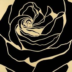 Silhouette d'une rose