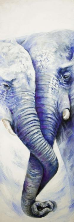 Elephant couple loving each other