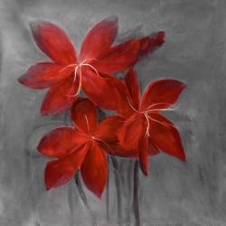 Asiatic lily