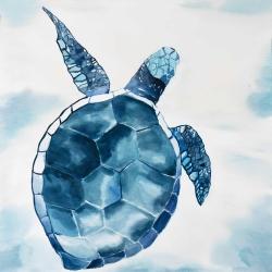 Tortue bleu