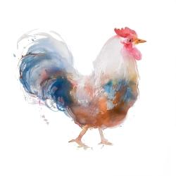 Coq à l'aquarelle