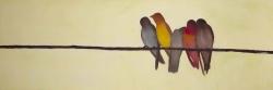 Five birds on a branch