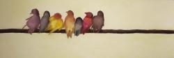 Famille d'oiseaux