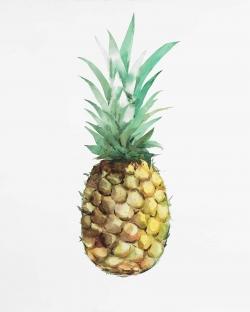 Ananas à l'aquarelle