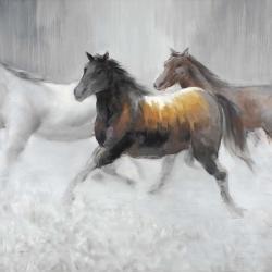 Troupeau de chevaux sauvages