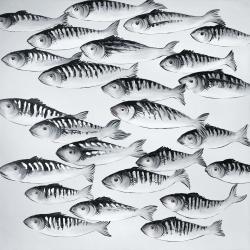 Banc de poisson gris