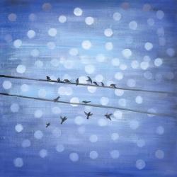 Oiseaux sur ciel bleu scintillant