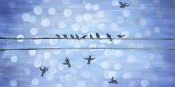 Oiseaux sur un fil avec ciel bleu clair