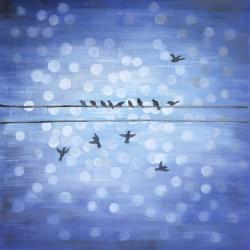 Oiseaux sur un fil avec ciel bleu clair