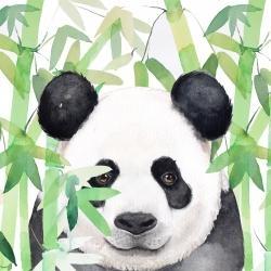 Panda caché dans du bambou