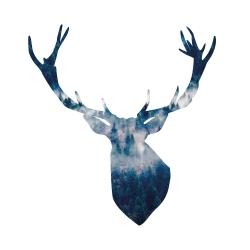 Deer head landscape