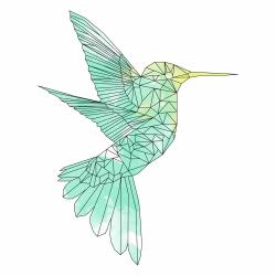 Colibri géométrique