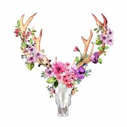  crâne de cerf avec fleurs