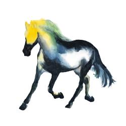 Galloping horse