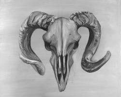 Grayscale aries skull