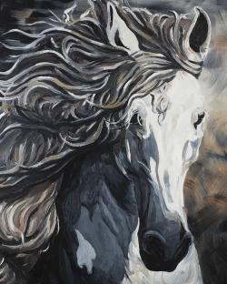 Front wild horse