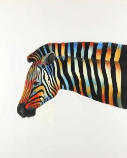 Colorful zebra