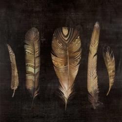 Brown feather set