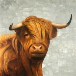 Highland cattle