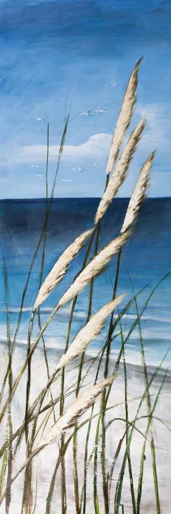 Plante oyat dans le vent sur la plage